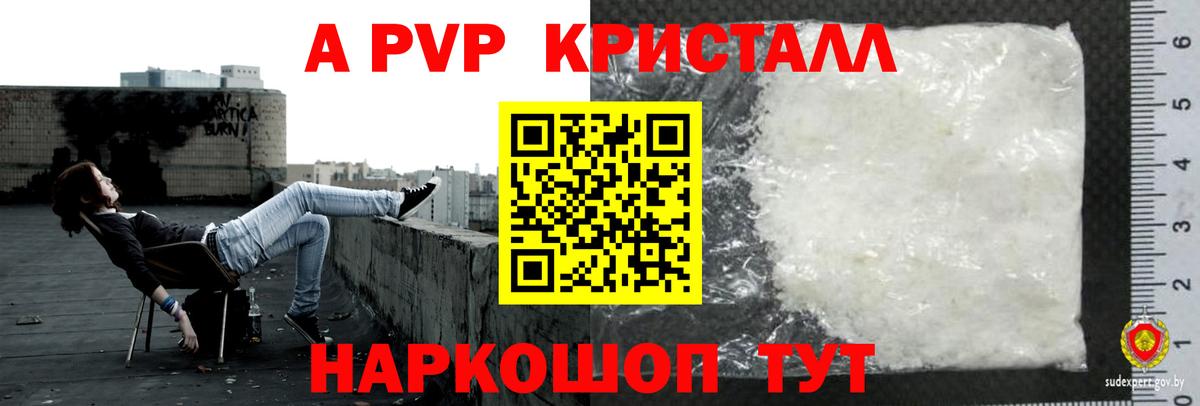 Альфа ПВП СК Углич