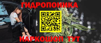 прущий лед Новозыбков