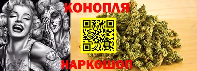 прущий лед Новозыбков