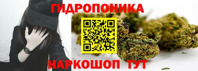 прущий лед Новозыбков