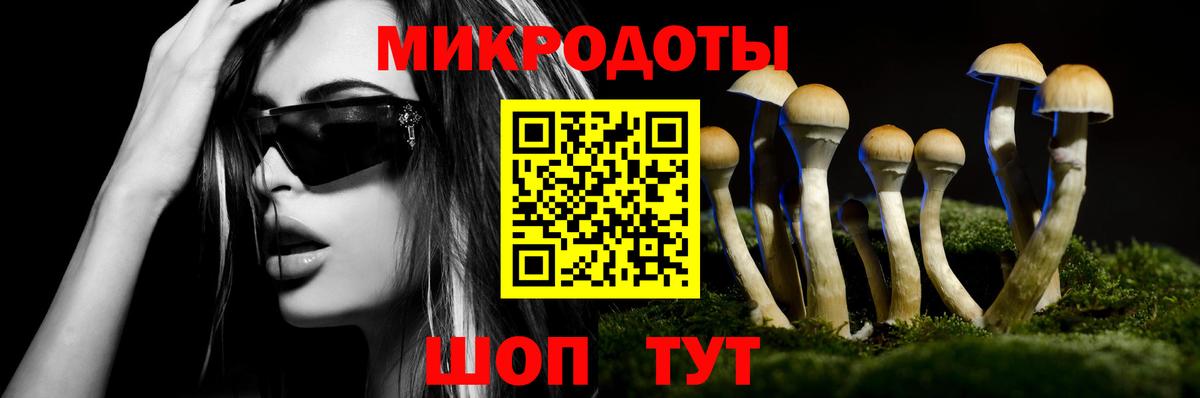 Галлюциногенные грибы MAGIC MUSHROOMS  Вход с VPN  Углич  купить наркотик  Псилоцибиновые грибы Magic Shrooms 
